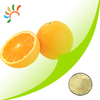 Polvo de fruta naranja